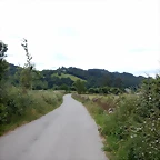 DSCN4385