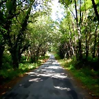 DSCN6320