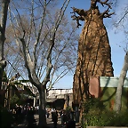 Zoo de Barcelona 27-03-11 729