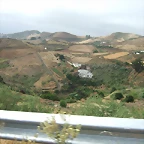 3 kedada - 126