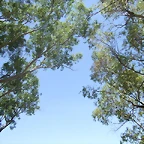 3 kedada - 092