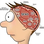 cabeza