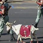 cabra