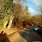 DSCN0382