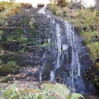 DSCN7991