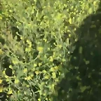 Video Hugo IG Stories 27-4-2019 (6)