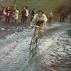 Merckx-Roubaix