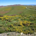 045-IMG_6673