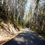 DSCN0709