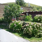 DSCN3189
