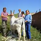 Damian esquilando al burro