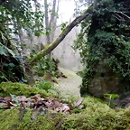 DSCN4812'3