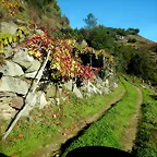 DSCN4480