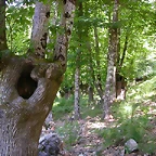 DSCN2114