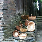 DSCN2205