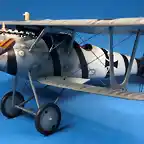 Pfalz C