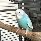 IMG-20180903-WA0022