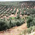 tabla desde el cerro