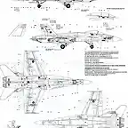 Calcas f-18024