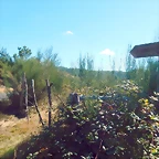 DSCN9407