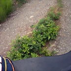 DSCN6284