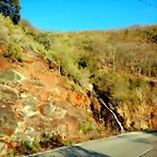 DSCN4137