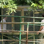 Zoo de Barcelona 30-09-2010 01 i 02-10-10 059
