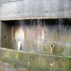 DSCN2804