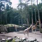 PIC03347