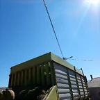 DSCN2341