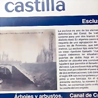 DSCN9533