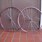 DSCN2902