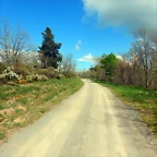 DSCN4923