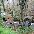 DSCN1129