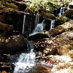 DSCN7870