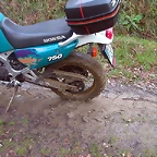 DSCN6018