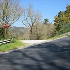 Fervenza 028r