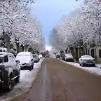 01, nieve en la avenida, marca 2
