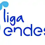 liga_endesa_color