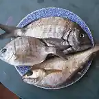 pescao con ellorrio