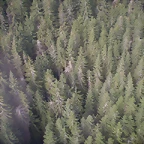 P8250744