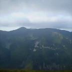 P8250646