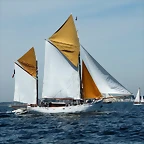 IMG_2504 (Copier)