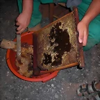 5a