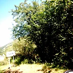 DSCN8532