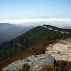 DSCN5719