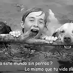 Mundo sin perros