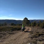 91