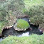 DSCN5182