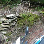 DSCN5327